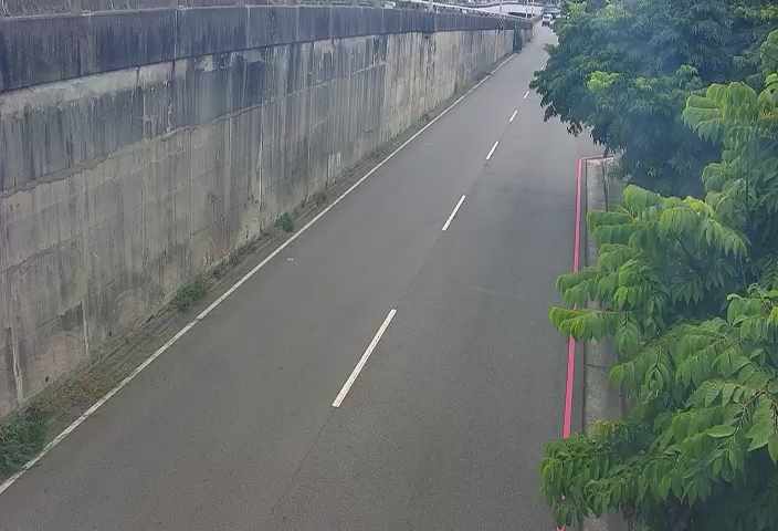 環中路/中央公園北側停車場(車流往中清路)