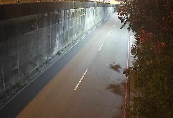 環中路/中央公園北側停車場(車流往中清路)