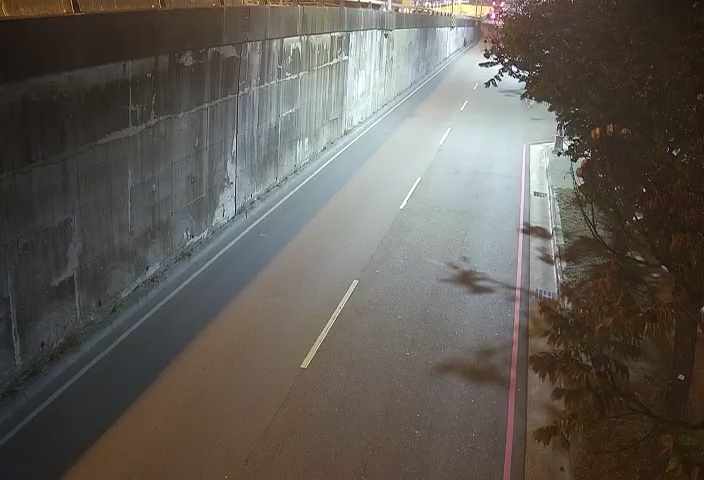 環中路/中央公園北側停車場(車流往中清路)