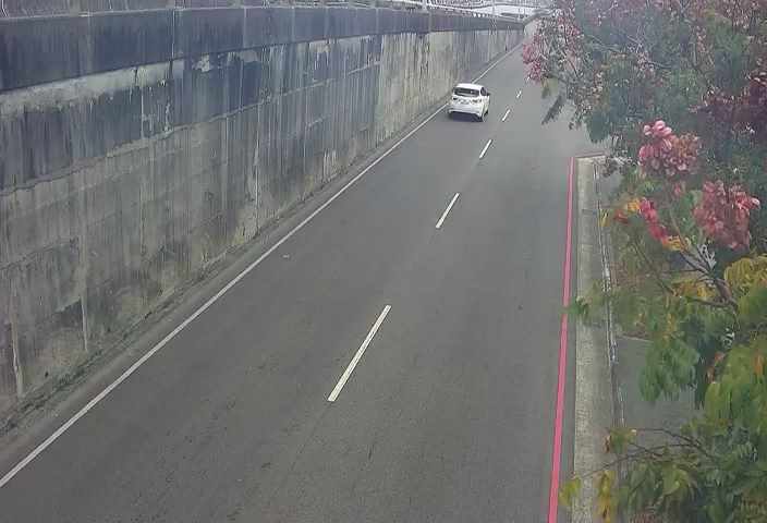 環中路/中央公園北側停車場(車流往中清路)
